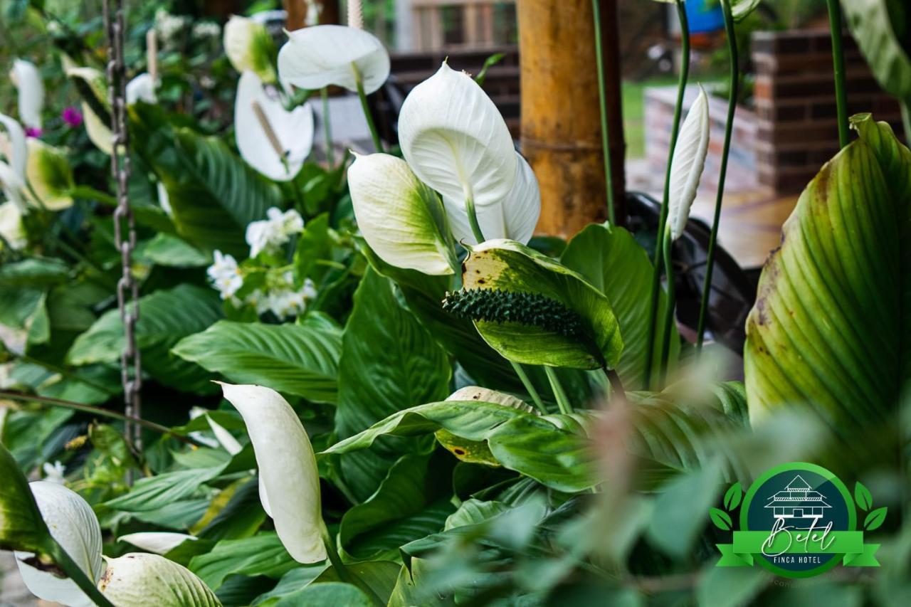Finca Hotel Betel San Carlos Екстериор снимка